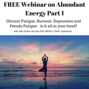The Abundant Energy Webinar Part 1: Chronic Fatigue, Burnout, Adrenal Fatigue, Depression - Is It All In Your Head?