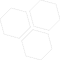 cell-2
