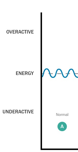 Bioenergetic Health Stage 1
