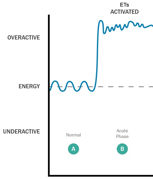 Bioenergetic Health Stage 2