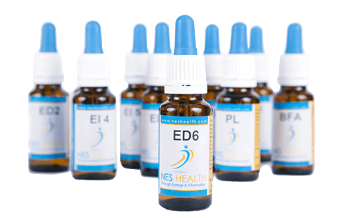 nes-equine-infoceuticals